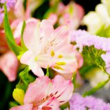 はじめてのお葬式